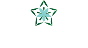 North Star Acupuncture